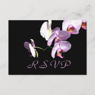 Tarjeta RSVP de Mauve Orchids