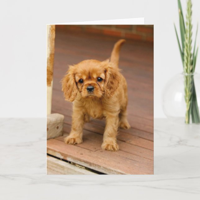 Tarjeta Rubí en porch.jpg (Anverso)