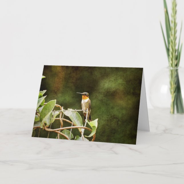 Tarjeta Ruby Throed Hummingbird (Anverso)