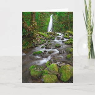 Tarjeta Ruckel Creek Falls, desfiladero del río Columbia O