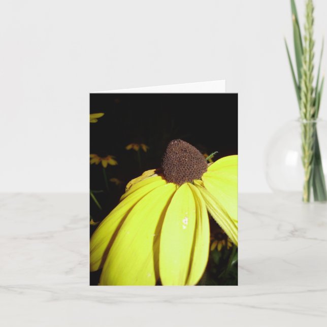 Tarjeta Rudebekia notecard (Anverso)