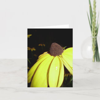 Tarjeta Rudebekia notecard