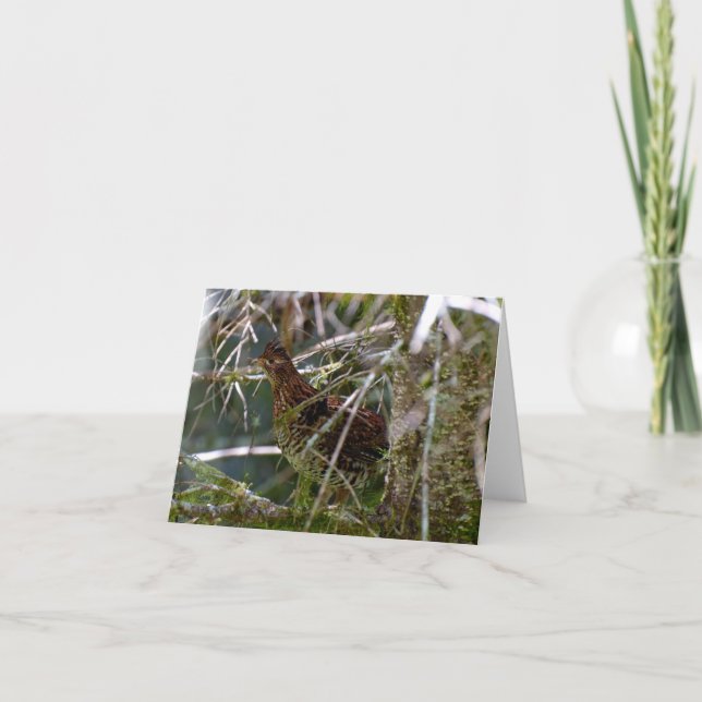 Tarjeta Ruffed Grouse 02 (Anverso)
