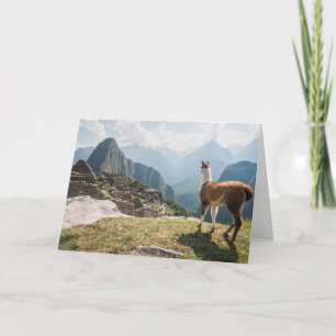 Tarjeta Ruinas de desatención de la llama el   Machu