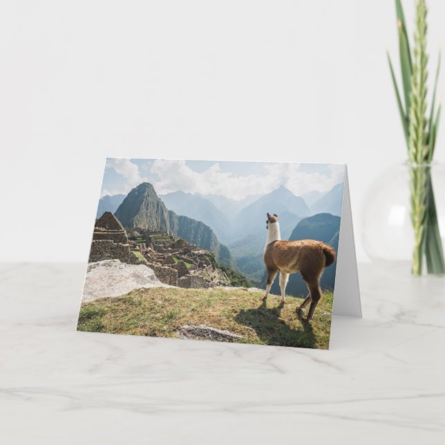 Tarjeta Ruinas de desatención de la llama el | Machu (Anverso)