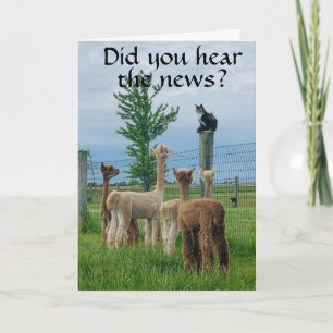 TARJETA RUMOR ES QUE **40 CUMPLEAÑOS** NO ES TAN MAL