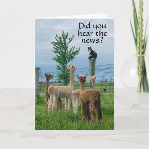 Tarjeta RUMOR ES QUE **55º CUMPLEAÑOS** NO ES TAN MALA Tar