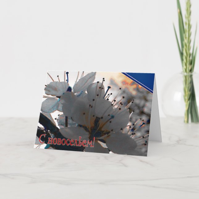 Tarjeta rusa de inauguración con flores de cerezo (Anverso)