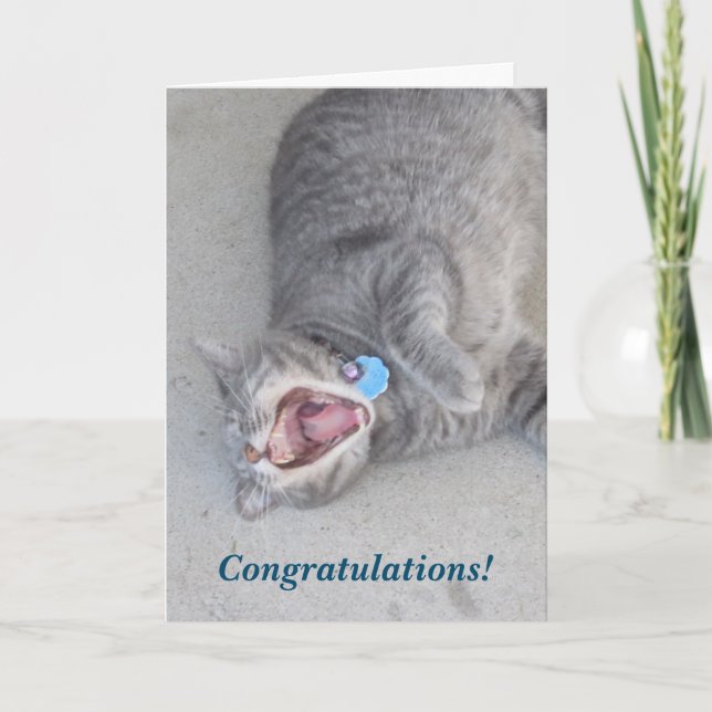 Tarjeta Russ que la enhorabuena del gato carda (Anverso)