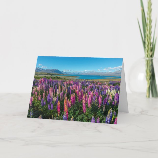 Tarjeta Russle Lupines at Lake Tekapo | New Zealand (Anverso)