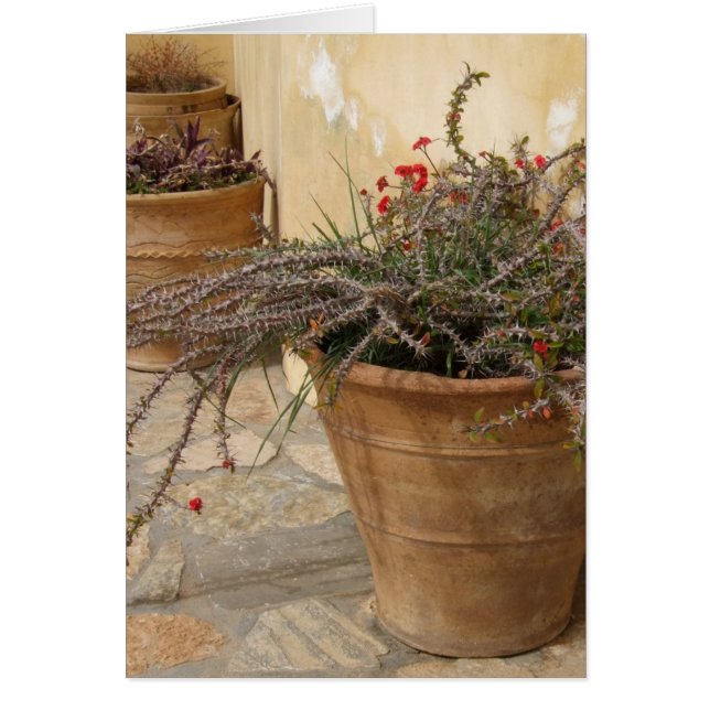 Tarjeta Rustic Pots (Frente)