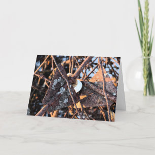 Tarjeta Rusty Junk Pile, Cumpleaños