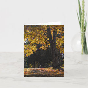 Tarjeta Ruta a la comodidad