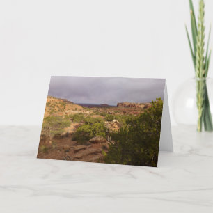 Tarjeta Ruta de los manantiales de cuello en el Parque Nac