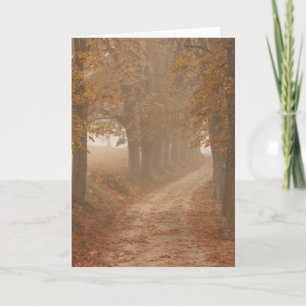Tarjeta Ruta de Woodland a través de la foto de árboles de