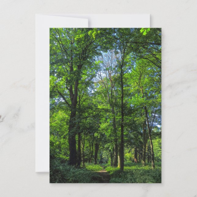 Tarjeta Ruta de Woodland. Bosque de Blackweir, Cardiff, Ga (Anverso)