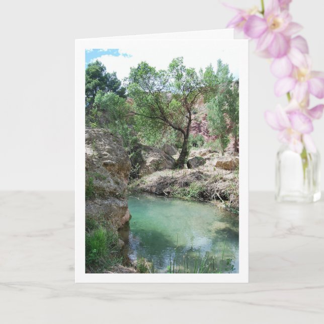 Tarjeta Ruta del Agua en Chelva, Valencia, España (Orquídea)