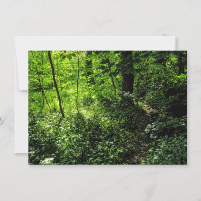 Tarjeta Ruta en el bosque (Anverso)