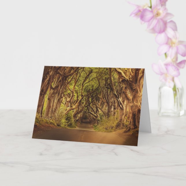 Tarjeta Ruta forestal encantada 4 (Orquídea)