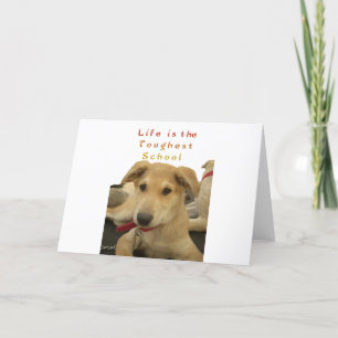 Tarjeta Sabiduría Dorada: La Perspectiva de un Perro sobre