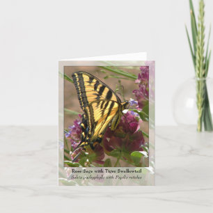 Tarjeta Sabio color de rosa con el tigre Swallowtail -