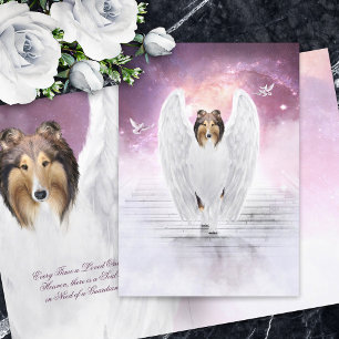 Tarjeta Sable Rough Collie Angel - Condolencia por pérdida