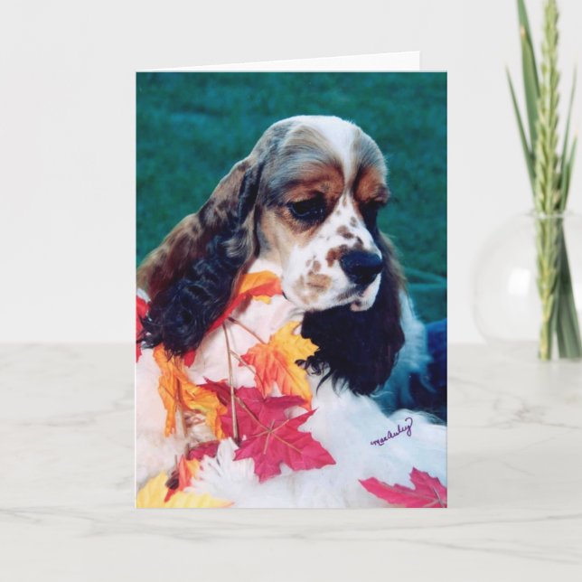 Tarjeta Sable white Cocker Spaniel (Anverso)