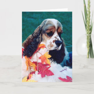Tarjeta Sable white Cocker Spaniel
