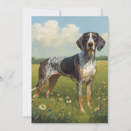 Tarjeta Sabueso Bluetick
