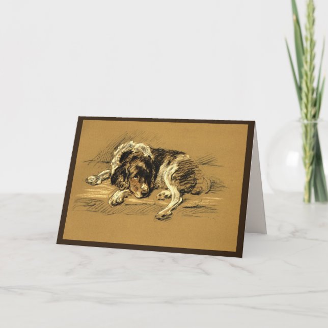 Tarjeta Sad Dog Sympathy (Anverso)