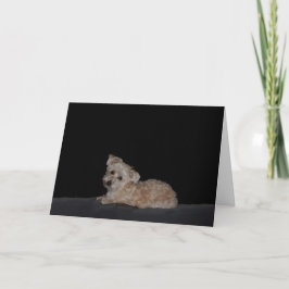 Tarjeta Sad Puppy Get Well Card
