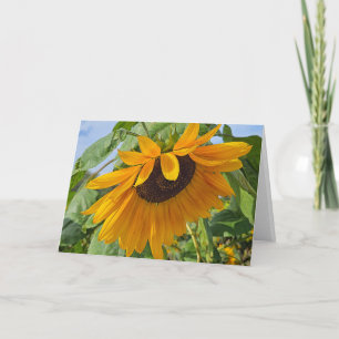 Tarjeta Sad Sunflower