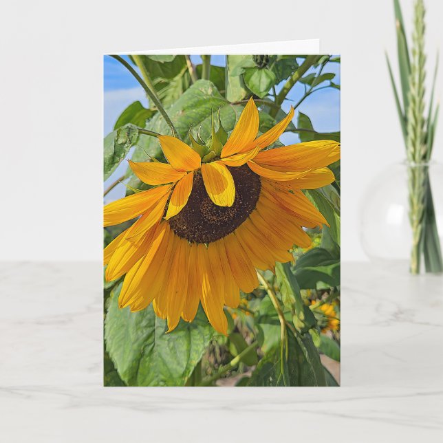 Tarjeta Sad Sunflower (Anverso)