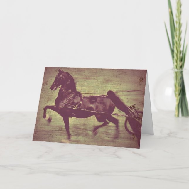 Tarjeta Saddlebred Song (Anverso)