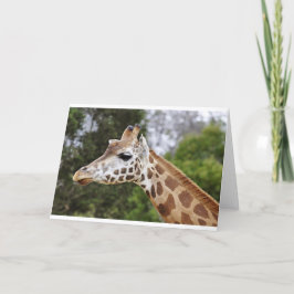Tarjeta Safari África Mod Chic Elegante Destino Jirafa
