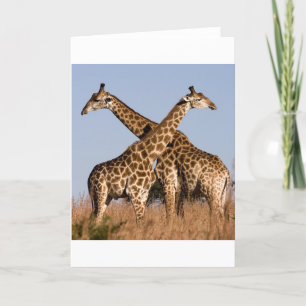 Tarjeta Safari África Mod Chic Elegante Destino Jirafa