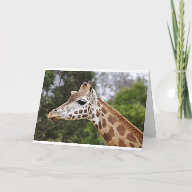 Tarjeta Safari Africa Mod Moda  Destiny Giraffe (Anverso)