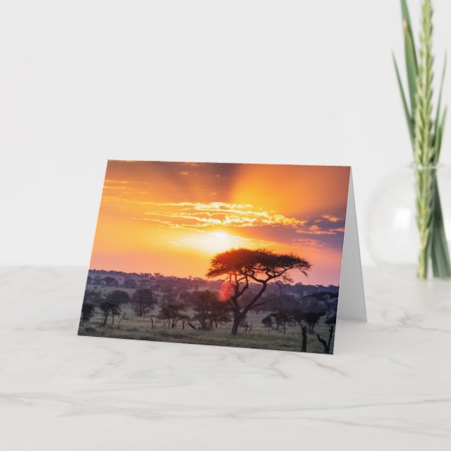 Tarjeta Safari en el Parque Nacional Serengeti (Anverso)