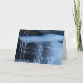 Tarjeta Saguaro Cactus Vision Quest, Naturaleza Esotérica