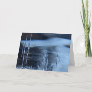 Tarjeta Saguaro Cactus Vision Quest, Naturaleza Esotérica