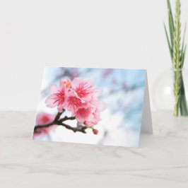 Tarjeta Sakura