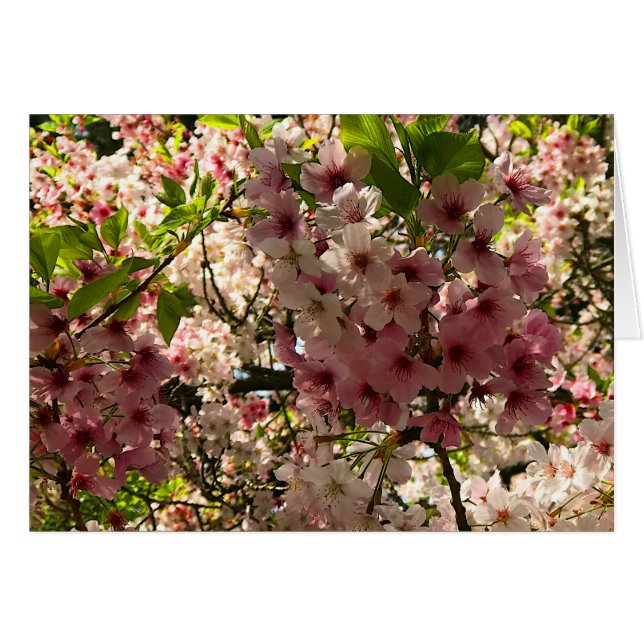 Tarjeta Sakura Cherry Blossom #3 (Anverso (Horizontal))