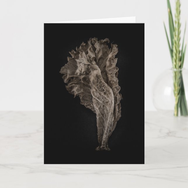 Tarjeta Sale de la versión de color no 8 (Anverso)