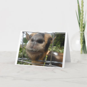 TARJETA SALGAME PARA QUE PUEDA DESEARTE UN CUMPLEAÑOS FELI