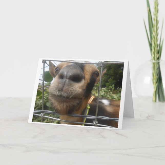 TARJETA SALGAME PARA QUE PUEDA DESEARTE UN CUMPLEAÑOS FELI (Anverso)