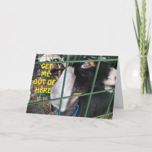 TARJETA **SALGAMOS** QUIERO DECIR "FELIZ CUMPLEAÑOS"