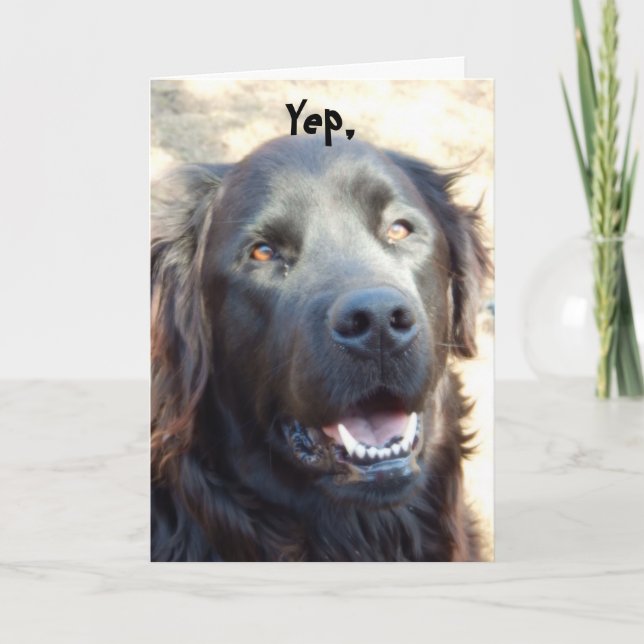 Tarjeta Salir bien ~Dog Humor Greeting (Anverso)