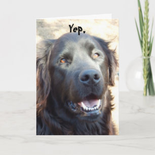 Tarjeta Salir bien ~Dog Humor Greeting