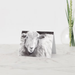 Tarjeta Sally the Sheep (a362)