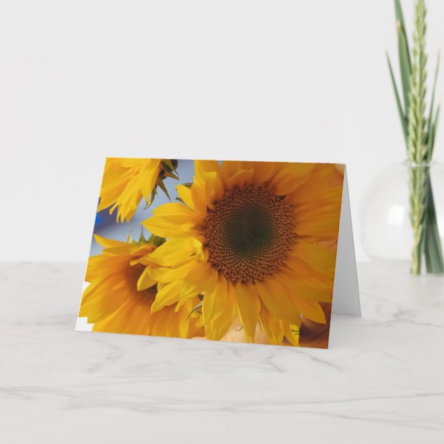 Tarjeta Salmo 96:1 Girasoles en blanco  (Anverso)